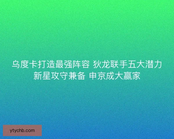 乌度卡打造最强阵容 狄龙联手五大潜力新星攻守兼备 申京成大赢家