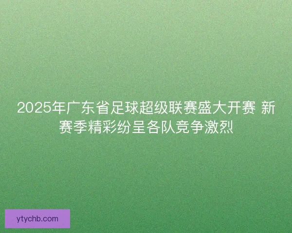2025年广东省足球超级联赛盛大开赛 新赛季精彩纷呈各队竞争激烈